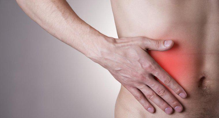 Quels sont les symptômes de l'appendicite chez les adultes?