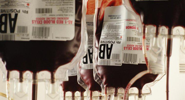 Pourquoi AB négatif est-il le groupe sanguin le plus rare ?