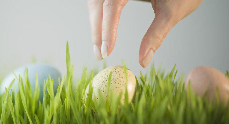 Quelles sont les idées de chasse aux œufs de Pâques pour les adultes ?