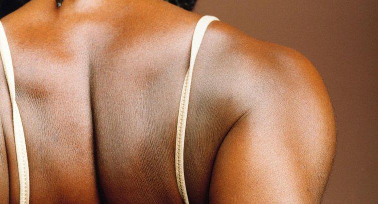 Quelles sont les causes des maux de dos le long de l'omoplate ?