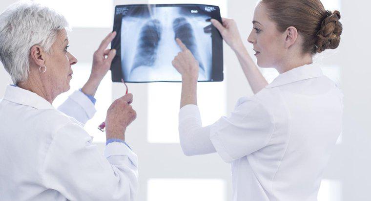 Que font les poumons dans le système respiratoire?
