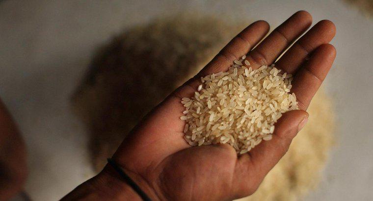 Combien pèse un seul grain de riz ?