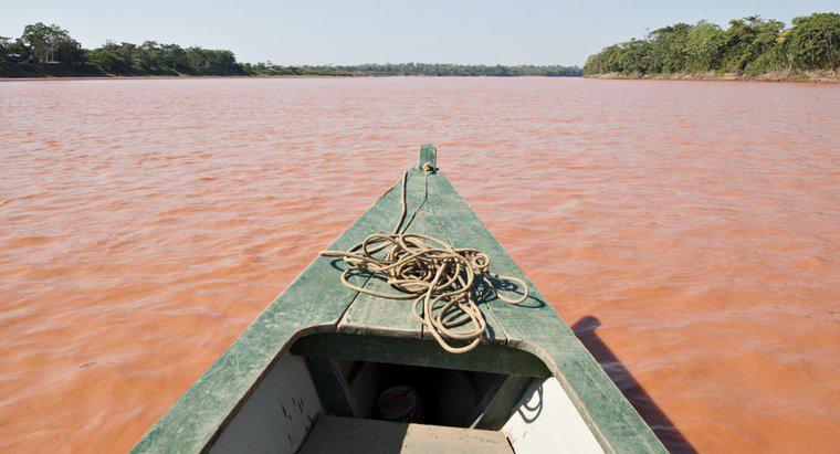 Où est l'embouchure du fleuve Amazone ?