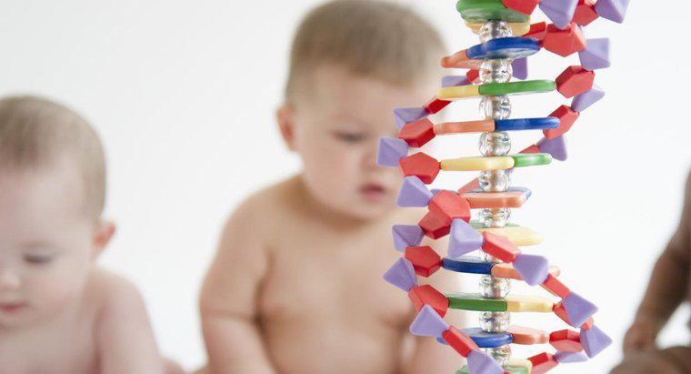 Les troubles génétiques peuvent-ils sauter des générations ?