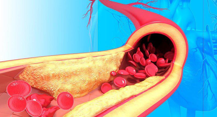Quelle est la structure des artères?