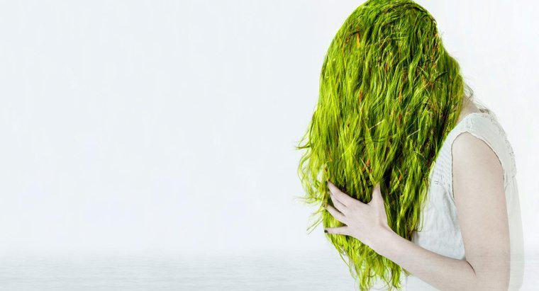 Comment se débarrasser des cheveux verts du chlore ?