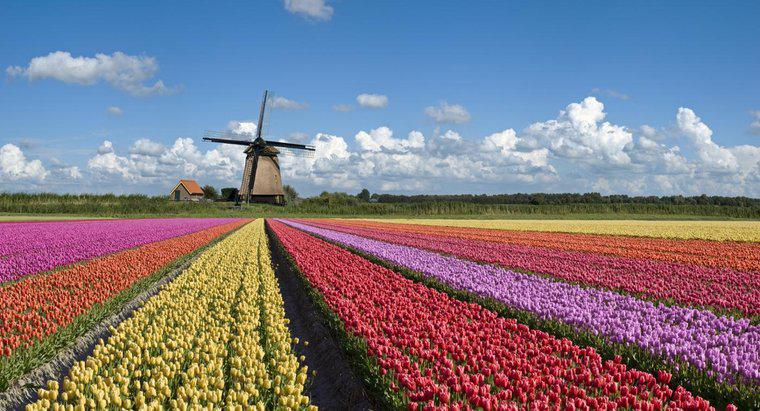 Pourquoi les Pays-Bas sont-ils célèbres ?