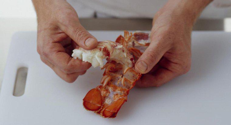 Comment faire bouillir une queue de homard ?