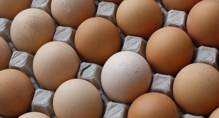 Quelle est la valeur nutritionnelle d'un œuf ?