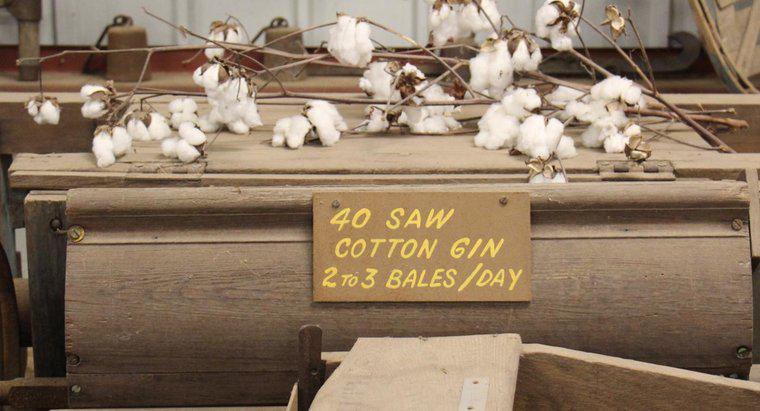 Qu'a fait le Cotton Gin ?