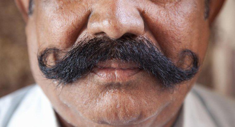 Combien de temps faut-il pour faire pousser une moustache ?