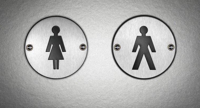 Pouvez-vous faire la différence entre l'urine masculine et féminine?