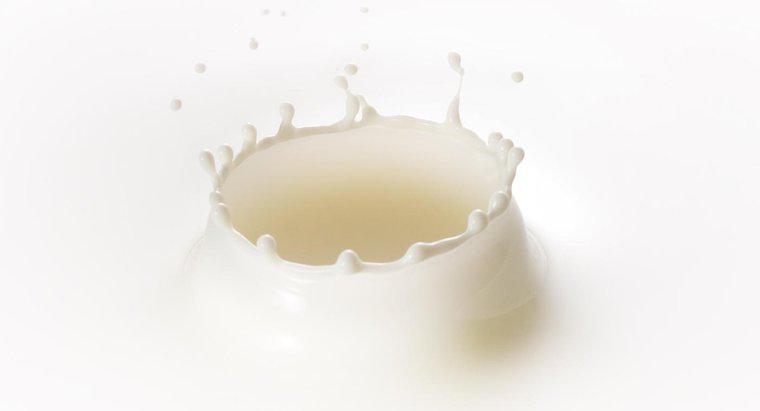 Qu'est-ce qu'un bon substitut au lait écrémé?