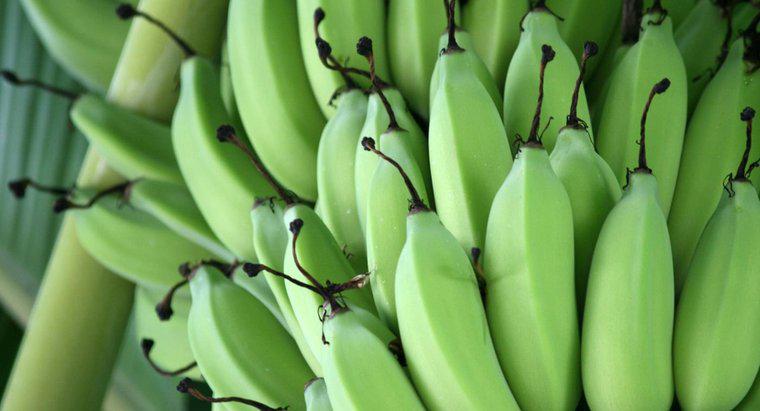 Combien de temps faut-il pour que les bananes mûrissent ?