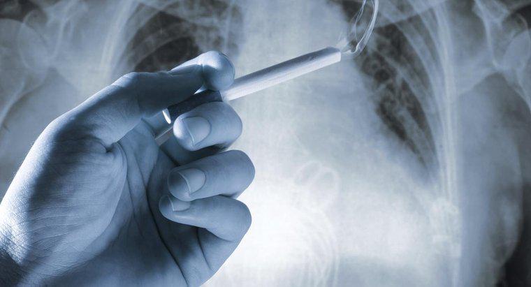 Quels sont les symptômes du cancer du poumon?
