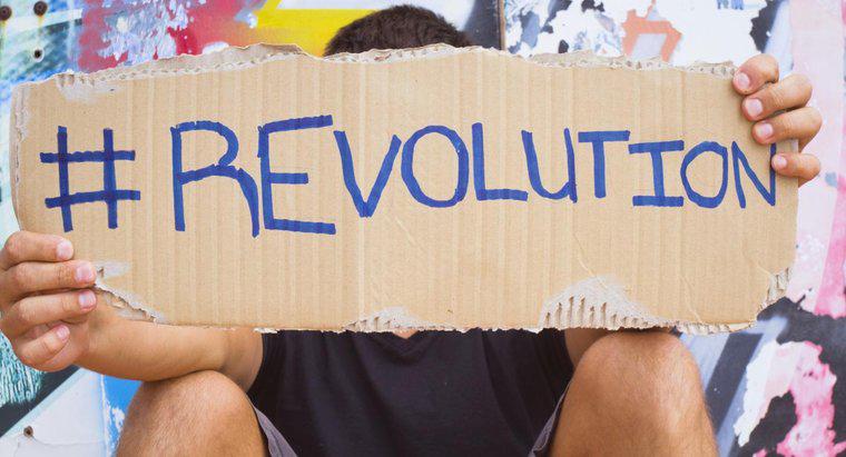 Quelles sont les causes courantes de révolution dans l'histoire?