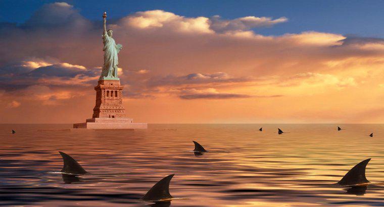 Qu'est-ce qui mord plus de gens : les requins ou les new-yorkais ?