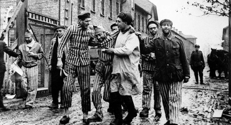 Quand les camps de concentration ont-ils pris fin ?