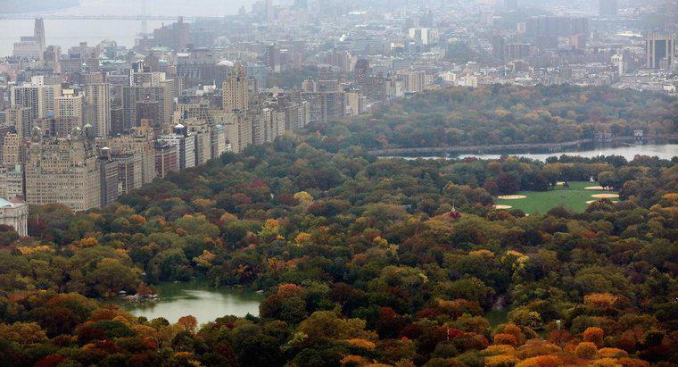Quelle est la taille de Central Park à New York ?