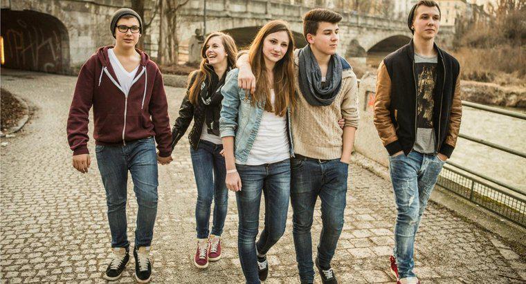 Quel groupe d'âge comprend l'adolescence ?