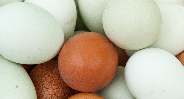 Quelle est la superstition à propos de trouver un œuf sanglant?
