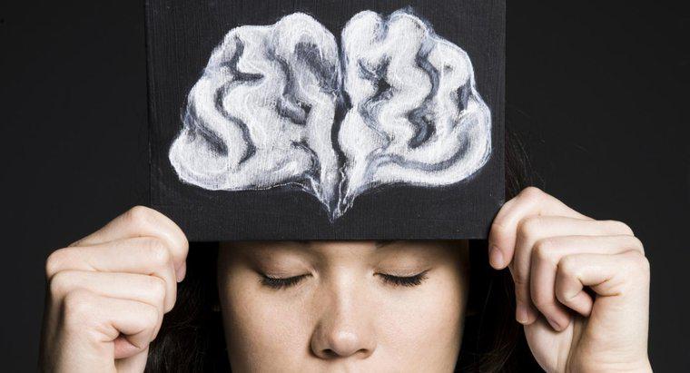 Quelle est la fonction du lobe frontal du cerveau ?