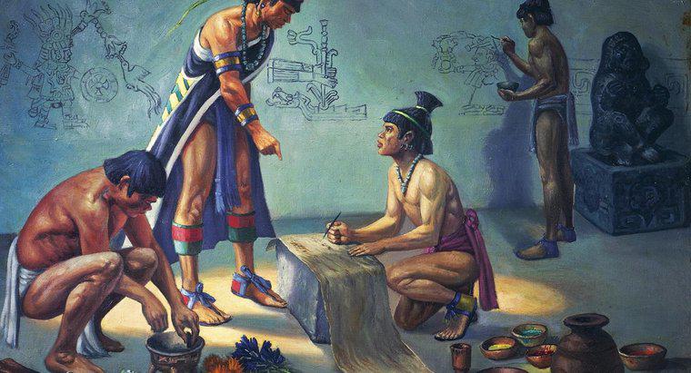 Comment les Aztèques se sont-ils adaptés à leur environnement ?