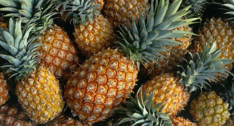 Quelles sont les recettes pour faire une boisson avec de l'ananas et du rhum ?