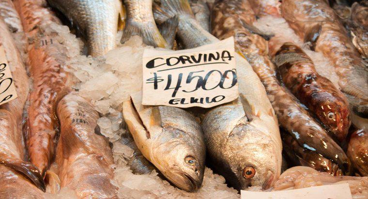 Comment cuisiner le poisson Corvina ?