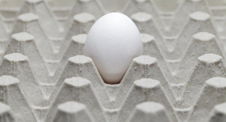 Quelles sont les causes d'une odeur d'œuf pourri dans une maison ?