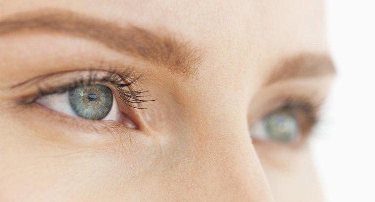 Quelles sont les principales fonctions de l'œil ?