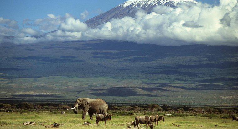 Comment s'est formé le mont Kilimandjaro ?