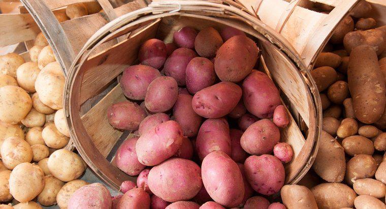 Combien de chromosomes ont les pommes de terre ?