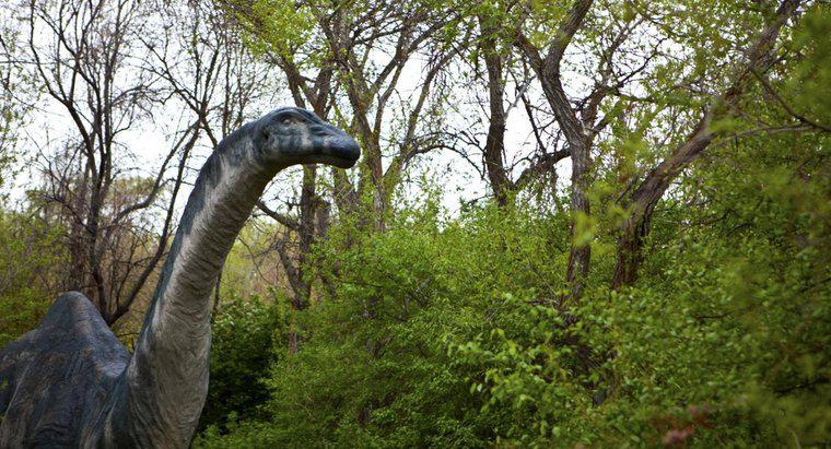 Pourquoi le nom du brontosaure a-t-il été changé en apatosaurus ?