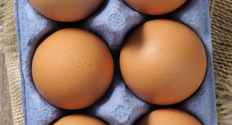 Combien de temps les œufs restent-ils bons ?