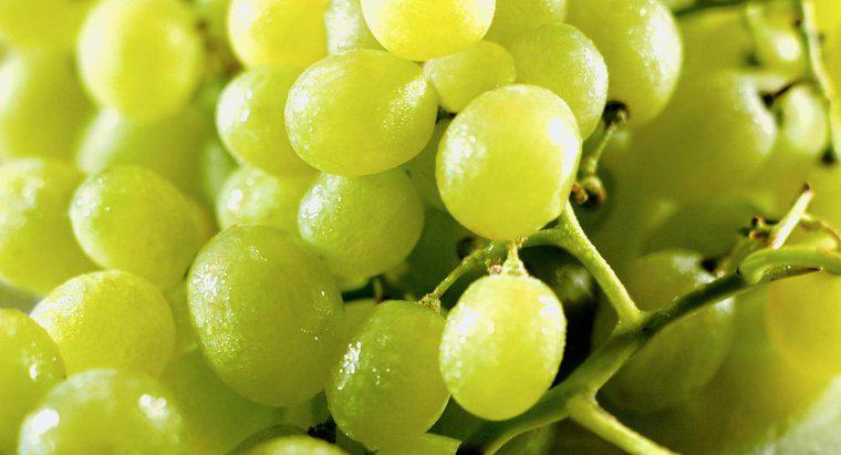Les raisins sont-ils acides ?