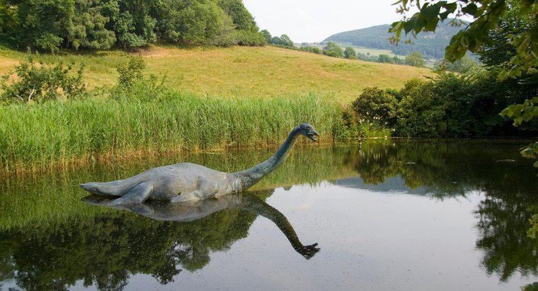 Où vit le monstre du Loch Ness ?