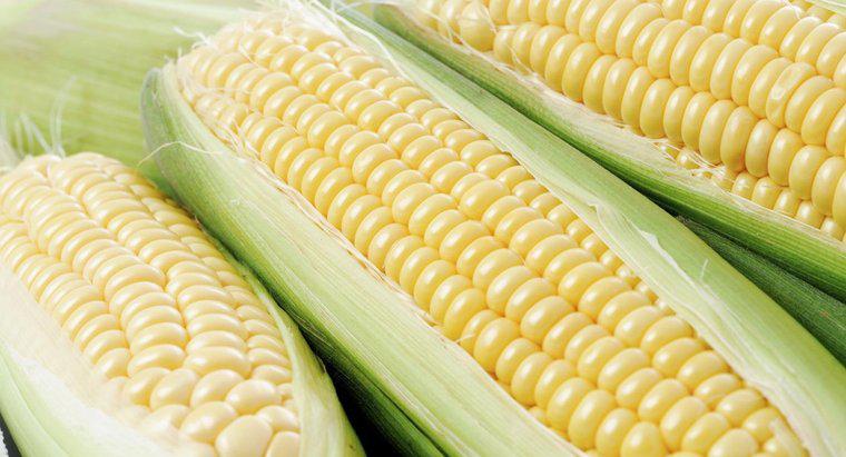 Le maïs est-il considéré comme un légume ?