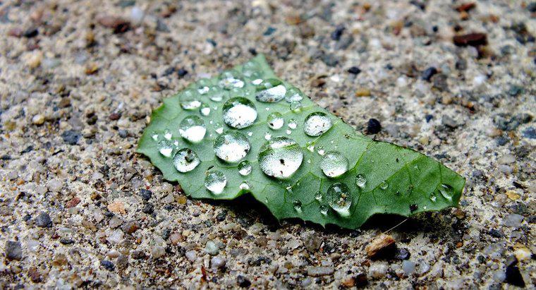 Pourquoi les pluies acides sont-elles un problème ?