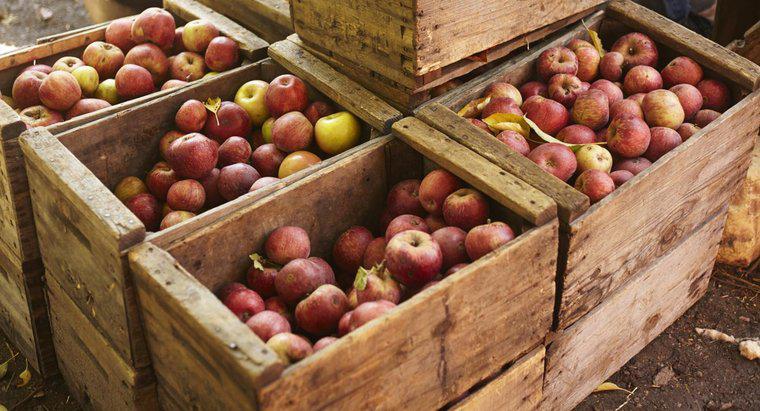 Combien y a-t-il de kilos dans un pic de pommes ?