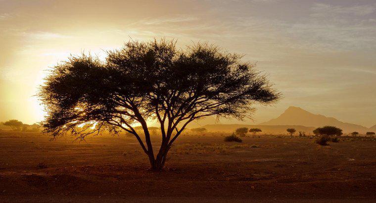 Quel pourcentage de l'Afrique est désert?