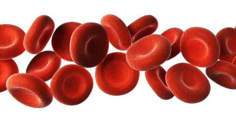 Quelles sont les six substances transportées par le sang ?