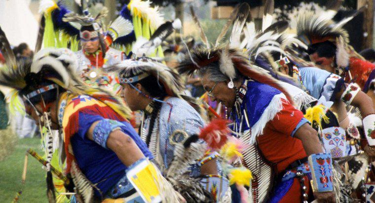 Quels sont les objectifs du mouvement des Indiens d'Amérique ?
