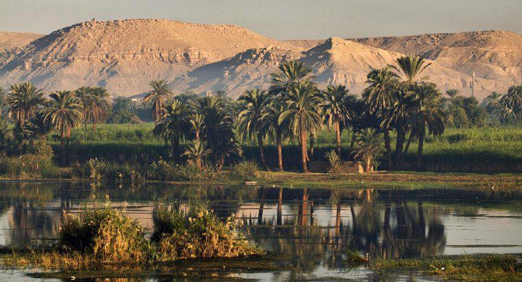 Où vivaient la plupart des anciens Égyptiens ?