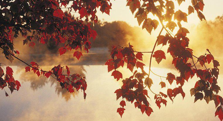 Quels mois en Amérique du Nord sont considérés comme l'automne ?