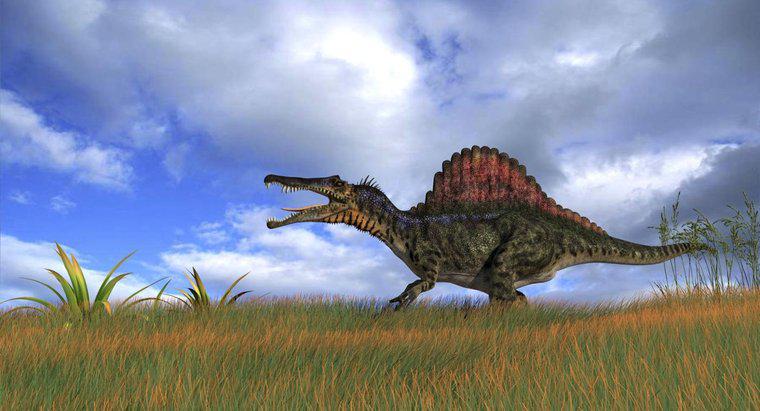 Quel était le plus grand dinosaure carnivore ?