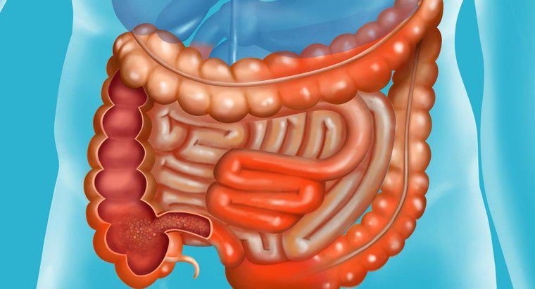 Quel est le pronostic de la maladie de Crohn ?