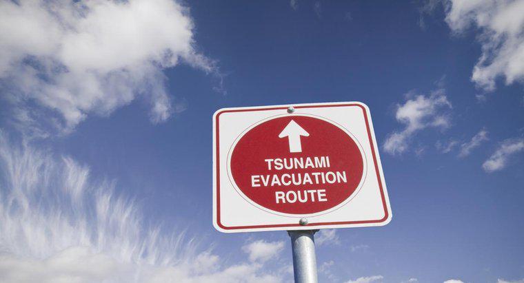 Comment se préparer à un tsunami ?