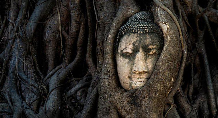 Quelle est la signification du Bouddha qui pleure ?