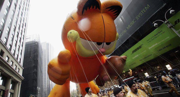 Quelle race de chat est Garfield ?